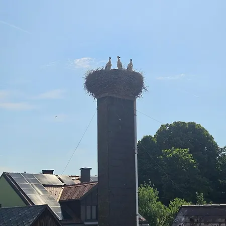 Garconniere Im Ortszentrum Lägenhet *